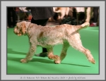 Filename=R_FairDinkum_3.jpg
Filesize=581KiB
Dimensions=1015x780
Date added=Mar 23, 2021 R_FairDinkum_3.jpg