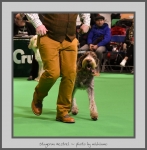 Filename=S_Kestrel_3.jpg
Filesize=531KiB
Dimensions=767x780
Date added=Mar 23, 2021 S_Kestrel_3.jpg