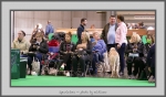 Filename=Spectators_10.jpg
Filesize=579KiB
Dimensions=1040x612
Date added=Mar 23, 2021 Spectators_10.jpg