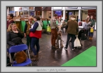 Filename=Spectators_14.jpg
Filesize=747KiB
Dimensions=1040x739
Date added=Mar 23, 2021 Spectators_14.jpg