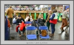 Filename=Spectators_15.jpg
Filesize=750KiB
Dimensions=1040x634
Date added=Mar 23, 2021 Spectators_15.jpg