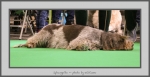 Filename=Spectators_20.jpg
Filesize=436KiB
Dimensions=1040x534
Date added=Mar 23, 2021 Spectators_20.jpg