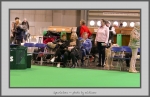 Filename=Spectators_5.jpg
Filesize=660KiB
Dimensions=1040x677
Date added=Mar 23, 2021 Spectators_5.jpg