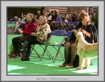 Filename=Spectators_6.jpg
Filesize=746KiB
Dimensions=991x780
Date added=Mar 23, 2021 Spectators_6.jpg