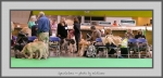 Filename=Spectators_7.jpg
Filesize=474KiB
Dimensions=1040x501
Date added=Mar 23, 2021 Spectators_7.jpg