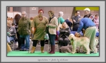 Filename=Spectators_8.jpg
Filesize=659KiB
Dimensions=1040x626
Date added=Mar 23, 2021 Spectators_8.jpg