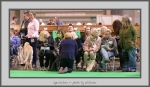 Filename=Spectators_9.jpg
Filesize=576KiB
Dimensions=1040x605
Date added=Mar 23, 2021 Spectators_9.jpg