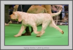 Filename=T_Grazioso_6.jpg
Filesize=530KiB
Dimensions=1040x712
Date added=Mar 23, 2021 T_Grazioso_6.jpg