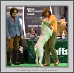 Filename=T_MagicMoments.jpg
Filesize=541KiB
Dimensions=789x780
Date added=Mar 23, 2021 T_MagicMoments.jpg