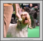 Filename=T_MagicMoments_1.jpg
Filesize=481KiB
Dimensions=812x780
Date added=Mar 23, 2021 T_MagicMoments_1.jpg