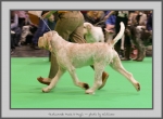 Filename=T_MuckNMagic_3.jpg
Filesize=688KiB
Dimensions=1040x769
Date added=Mar 23, 2021 T_MuckNMagic_3.jpg
