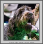 Filename=T_RugeroRaimondi.jpg
Filesize=493KiB
Dimensions=756x780
Date added=Mar 23, 2021 T_RugeroRaimondi.jpg