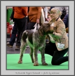 Filename=T_RugeroRaimondi_2.jpg
Filesize=511KiB
Dimensions=771x780
Date added=Mar 23, 2021 T_RugeroRaimondi_2.jpg