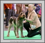 Filename=T_RugeroRaimondi_6.jpg
Filesize=563KiB
Dimensions=806x780
Date added=Mar 23, 2021 T_RugeroRaimondi_6.jpg