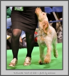 Filename=T_TwistOfGold_1.jpg
Filesize=464KiB
Dimensions=715x780
Date added=Mar 23, 2021 T_TwistOfGold_1.jpg