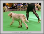 Filename=T_TwistOfGold_2.jpg
Filesize=615KiB
Dimensions=1008x780
Date added=Mar 23, 2021 T_TwistOfGold_2.jpg