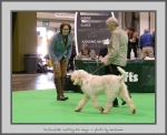 Filename=T_WaitingForAnya_5.jpg
Filesize=660KiB
Dimensions=956x780
Date added=Mar 23, 2021 T_WaitingForAnya_5.jpg