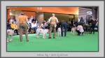 Filename=VD.jpg
Filesize=495KiB
Dimensions=1040x580
Date added=Mar 23, 2021 VD.jpg