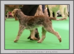 Filename=Van-DeWitthemhoeveScarletJackendaw.jpg
Filesize=654KiB
Dimensions=1040x769
Date added=Mar 23, 2021 Van-DeWitthemhoeveScarletJackendaw.jpg