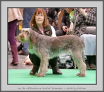 Filename=VanDeWitthemhoeveScarletJackendaw_2.jpg
Filesize=588KiB
Dimensions=882x780
Date added=Mar 23, 2021 VanDeWitthemhoeveScarletJackendaw_2.jpg