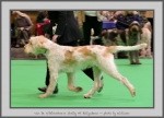 Filename=VanDeWitthemhoeveShelby_2.jpg
Filesize=607KiB
Dimensions=1040x755
Date added=Mar 23, 2021 VanDeWitthemhoeveShelby_2.jpg