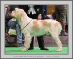Filename=VanDeWitthemhoeveShelby_4.jpg
Filesize=636KiB
Dimensions=953x780
Date added=Mar 23, 2021 VanDeWitthemhoeveShelby_4.jpg