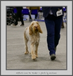 Filename=A_LoveMeTender_2.jpg
Filesize=429KiB
Dimensions=759x780
Date added=Mar 23, 2021 A_LoveMeTender_2.jpg
