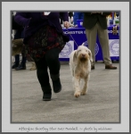 Filename=A_ShootingStar_1.jpg
Filesize=442KiB
Dimensions=769x780
Date added=Mar 23, 2021 A_ShootingStar_1.jpg