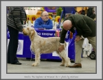Filename=Aurelia-TheExplorer.jpg
Filesize=667KiB
Dimensions=994x780
Date added=Mar 23, 2021 Aurelia-TheExplorer.jpg