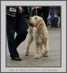Filename=Aurelia-TheExplorer_1.jpg
Filesize=403KiB
Dimensions=720x780
Date added=Mar 23, 2021 Aurelia-TheExplorer_1.jpg