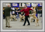 Filename=BCC.jpg
Filesize=565KiB
Dimensions=1040x739
Date added=Mar 23, 2021 BCC.jpg