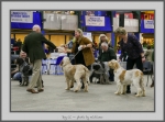 Filename=DCC.jpg
Filesize=686KiB
Dimensions=1040x770
Date added=Mar 23, 2021 DCC.jpg