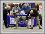 Filename=D_CremaDiCaffe.jpg
Filesize=725KiB
Dimensions=1024x780
Date added=Mar 23, 2021 D_CremaDiCaffe.jpg