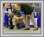 Filename=G_SecondoArancia.jpg
Filesize=603KiB
Dimensions=922x780
Date added=Mar 23, 2021 G_SecondoArancia.jpg