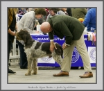 Filename=G_SignorBanda.jpg
Filesize=612KiB
Dimensions=888x780
Date added=Mar 23, 2021 G_SignorBanda.jpg