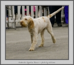 Filename=G_SignorinaBianco_1.jpg
Filesize=471KiB
Dimensions=884x780
Date added=Mar 23, 2021 G_SignorinaBianco_1.jpg