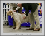 Filename=H_KirRoyale.jpg
Filesize=587KiB
Dimensions=973x780
Date added=Mar 23, 2021 H_KirRoyale.jpg
