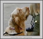 Filename=I_BlueLantern_2.jpg
Filesize=535KiB
Dimensions=866x780
Date added=Mar 23, 2021 I_BlueLantern_2.jpg