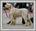 Filename=I_CrownJewels.jpg
Filesize=529KiB
Dimensions=902x780
Date added=Mar 23, 2021 I_CrownJewels.jpg