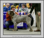 Filename=I_WhenDovesCry.jpg
Filesize=582KiB
Dimensions=897x780
Date added=Mar 23, 2021 I_WhenDovesCry.jpg