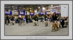Filename=OB.jpg
Filesize=546KiB
Dimensions=1040x586
Date added=Mar 23, 2021 OB.jpg