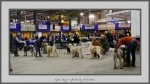 Filename=OD.jpg
Filesize=561KiB
Dimensions=1040x583
Date added=Mar 23, 2021 OD.jpg