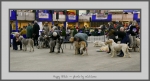 Filename=PB.jpg
Filesize=527KiB
Dimensions=1040x562
Date added=Mar 23, 2021 PB.jpg