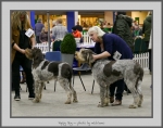 Filename=PD_1.jpg
Filesize=624KiB
Dimensions=991x780
Date added=Mar 23, 2021 PD_1.jpg