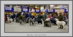 Filename=PD_2.jpg
Filesize=509KiB
Dimensions=1040x527
Date added=Mar 23, 2021 PD_2.jpg