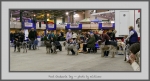 Filename=PGD.jpg
Filesize=540KiB
Dimensions=1040x564
Date added=Mar 23, 2021 PGD.jpg