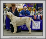 Filename=P_MoonlightShadow.jpg
Filesize=683KiB
Dimensions=917x780
Date added=Mar 23, 2021 P_MoonlightShadow.jpg