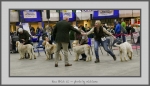 Filename=RBCC.jpg
Filesize=547KiB
Dimensions=1040x598
Date added=Mar 23, 2021 RBCC.jpg