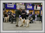 Filename=RDCC.jpg
Filesize=749KiB
Dimensions=1040x775
Date added=Mar 23, 2021 RDCC.jpg