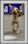 Filename=S_SevenDeadlySins_1.jpg
Filesize=265KiB
Dimensions=491x780
Date added=Mar 23, 2021 S_SevenDeadlySins_1.jpg